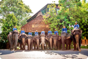 The Elephant Village